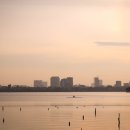 선셋(Sun Set) 이미지