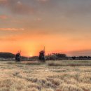 소래습지생태공원 이미지