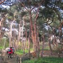 아차산공원 Daum카페