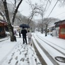 금산어린이공원 | 진안 마이산 탑사*눈오는 풍경