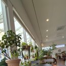 숲속노을로(1) 이미지