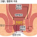 프라목신 vs 표준화된 박테리아 배양액 이미지