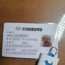 마이펫 동물병원 | 비마이펫) 외장칩 및 반려동물등록증 구매 후기 feat. 광견병 주사