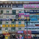 청보리국어논술