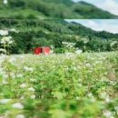 다래골농장 이미지