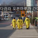 용문태권도장 이미지