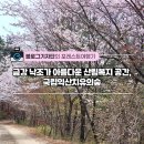 &lt;#포레스트여행기&gt; 금강 낙조가 아름다운 산림복지 공간, 국립익산치유의숲