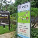 신광태권도 이미지