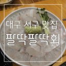 팔딱팔딱 | 평리동 맛집 횟집 : 가성비 최고 ! 신선하고 깔끔한 팔딱팔딱회 후기