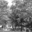 장수마을 이미지