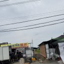 천안 수신메론 축제, 농장 직판 후기 준희네 메론, 수신멜론 천안멜론