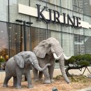 키린느건물 이미지