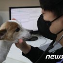 누리봄동물병원 이미지