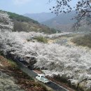 한국의 우주인 이소연씨 이미지