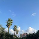 표선생활체육관 | 아이와 함께 제주도 살기 첫번째 에어비앤비 숙소 “온집” 표선 숙소 내돈내산 8박 9일 후기