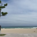 송정바다약국 이미지