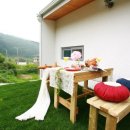 테이트펜션 이미지