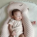 푸키포키 다람이 옆잠베개 사용후기✨(출산선물 추천)