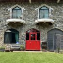 강과소나무 이미지