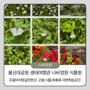 지니 나비 | 울산 주말 아이랑 갈만한곳 울산대공원 생태체험관 나비정원 나비존위주