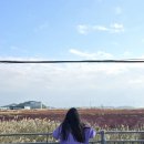 플라워 펜션 이미지