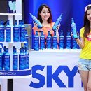 (주)중앙스카이