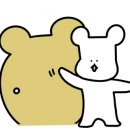 디에스웨딩 이미지