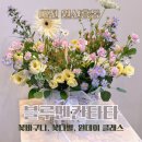 블루멘칸타타 | 대전 원신흥동꽃집 블루멘칸타타 꽃바구니 주문 후기