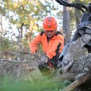 명성송이대게 이미지