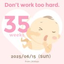 대명자동차관리사 | [혼전 임신 35주차 일기] 출산휴가/육아휴직급여 계산하기, 태동검사, 막달검사,