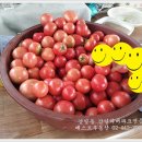 강일농장 네이버블로그