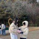 용인대 아이짐 태권스쿨 이미지