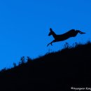 반구대로 이미지