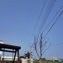 소라담