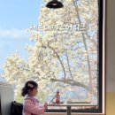 신광목욕탕 | 포항 신광 카페 세븐데이즈어위크 | 아이랑 가기 좋은 목련뷰 카페, 목욕탕까지 갖춘 포항 카페