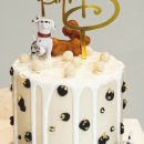 펫브로(Pet Bro) 이미지