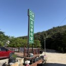 다솔사 | [사천] 애견동반 식당 '다솔사 소나무집' 내돈내산 후기 : 재료 품절 뚫고 먹은 꿀맛 비빔밥