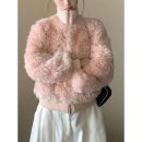 푸들푸들 이미지