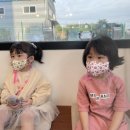 아스콧헤어 이미지