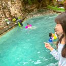 호도수꽃산장민박 | 국내 당일치기 겨울 커플 여행지 추천 경기도 아이들과 가볼만한곳 평택트리하우스