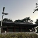 라이언의보물섬