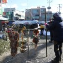 서산해신낙지