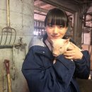 카야(Kaya) 이미지