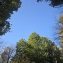 행복한 자수 이야기 이미지