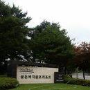 골든비치 이미지