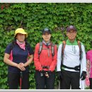 곡성-168 이미지