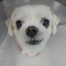 이룸외과동물병원 이미지