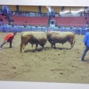 안심농장직영식육식당 이미지