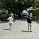 블루워터클리닉 | 필리핀 세부 여행 블루워터 마리바고 비치 리조트 조식 헬스장 수영장 이용 후기