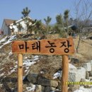 장승농장 이미지